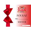 POUKAZ HOTFOLK 300