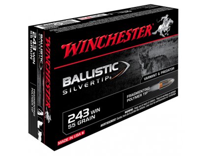 winch 243 ballistic silvertip 95grs