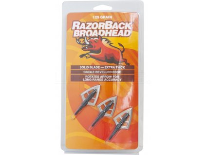 410794 6679d5ea.shrink 1920 1920.watermark