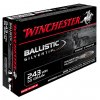 winch 243 ballistic silvertip 95grs