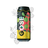 12° GOSE lime & kiwi