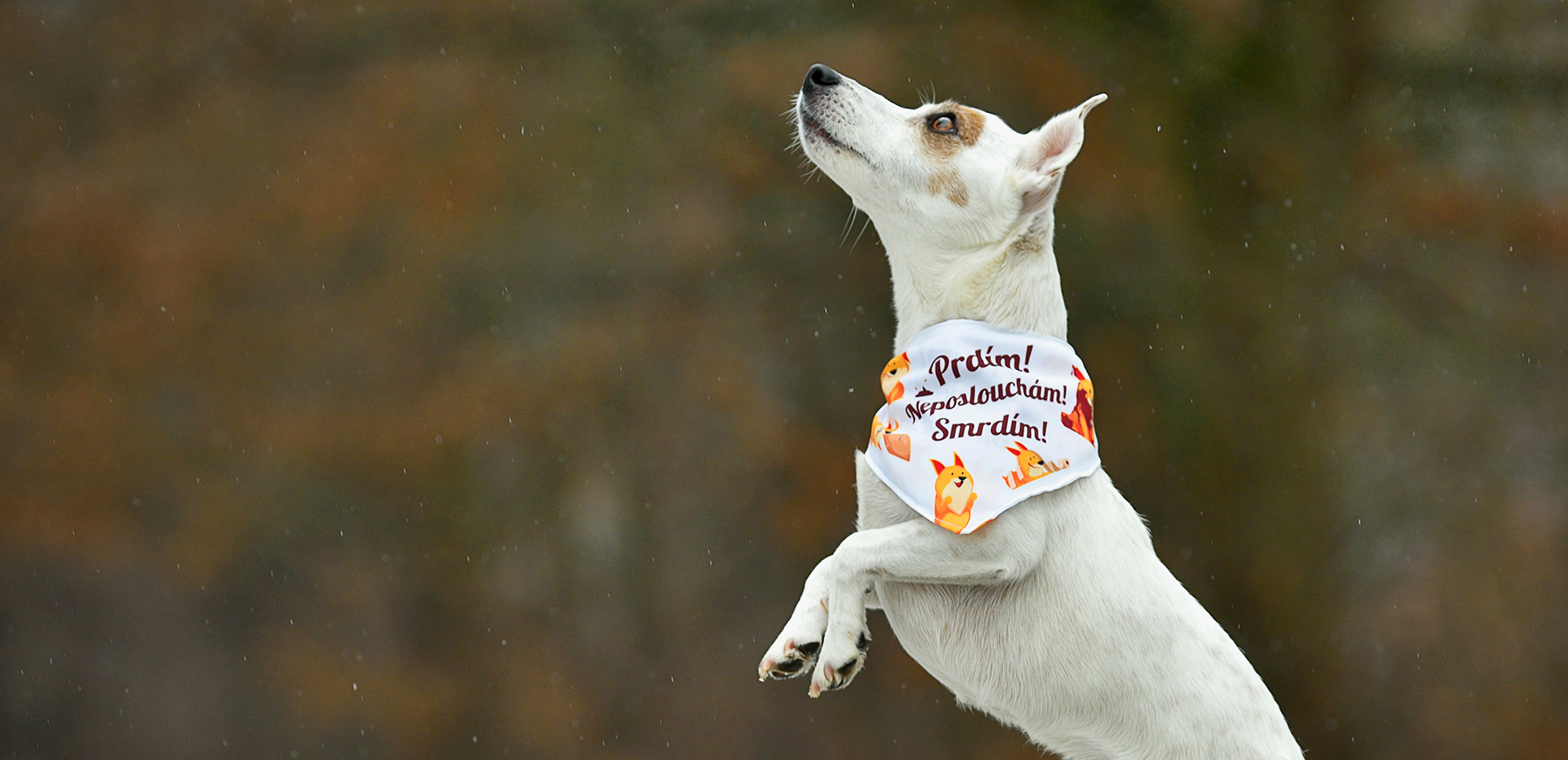 Prdím! Smrdím! Neposlouchám!