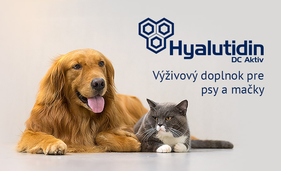 Hyalutidin DC Aktiv