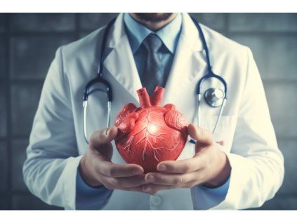 Zdravé srdce