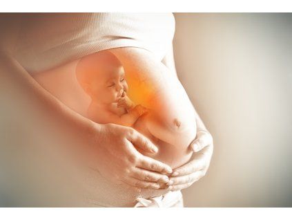 Příprava na těhotenství PLUS