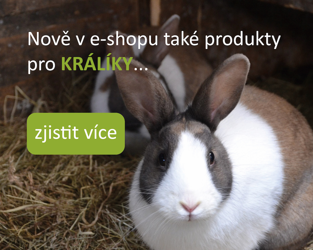 králíci