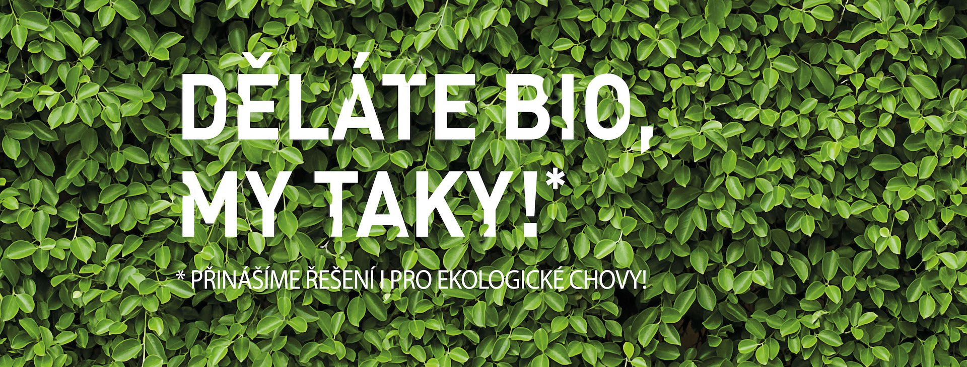 Ekologické chovy