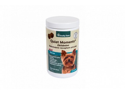 Quiet Moments Dog