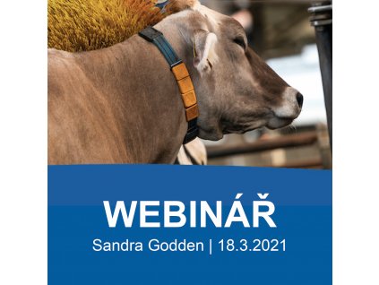 webinar 18.3.2021