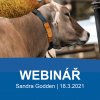 webinar 18.3.2021