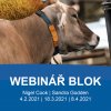 webinar blok