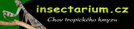 E-shop insectarium.cz