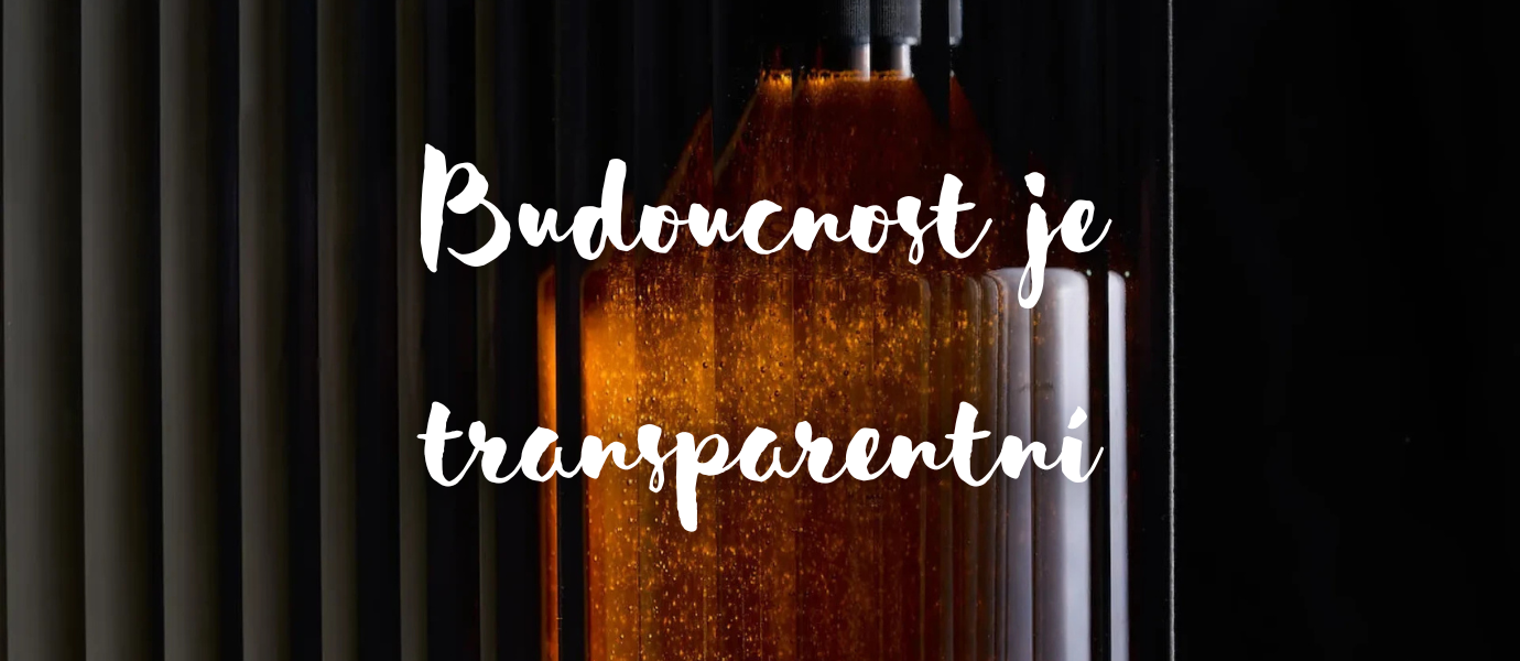 Budoucnost je transparentní