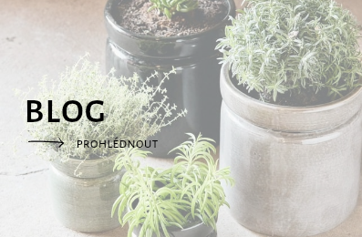 Vánoce | Intuition interiéry