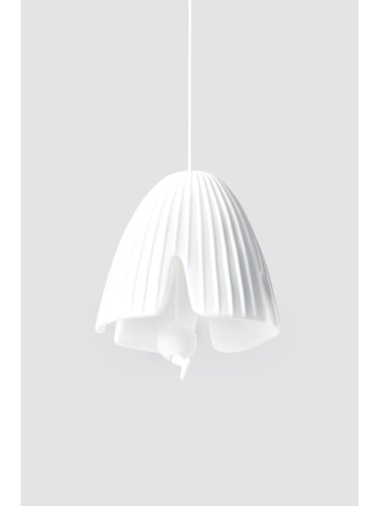 18078 Art H L Elemente Ornamente Zweige Hänger Poppy Y24 PV V01