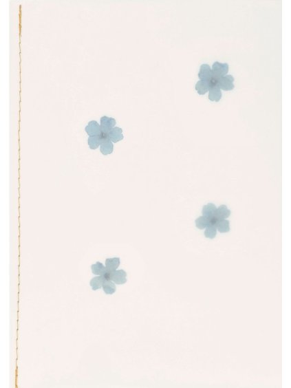 18247 Art F C Sonstiges Genähte Transparentpapierkarte Blüten Y25 PV V01