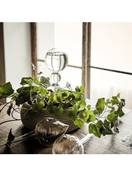 Sada pro milovníky květin