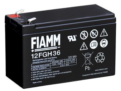 Fiamm 12 FGH 36 s