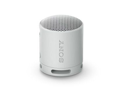 10 SRS XB100 Light Gray s
