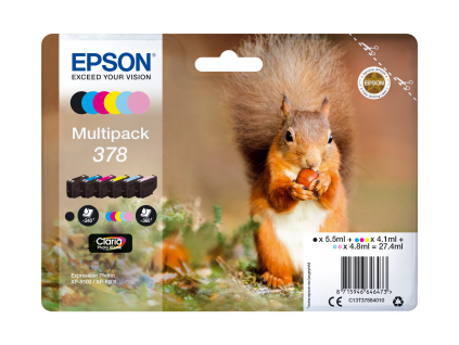 378 squirrel multipack front png s
