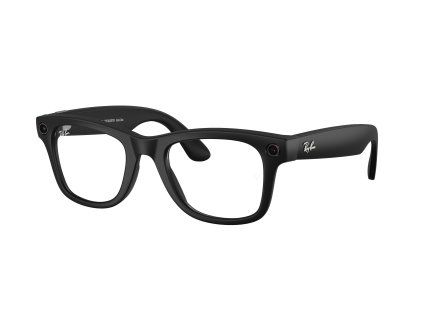 meta wayfarer s