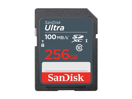 SanDisk Ultra SDXC 256 GB 100 MB, s Class 10 UHS-I