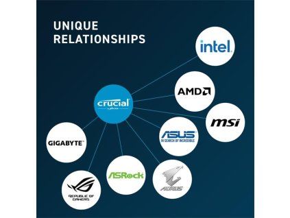 2134c9d75a35b6074438de4ca834dc9e