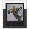 Polaroid Go Film Double Pack 16 photos - Black Frame