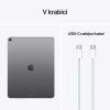Apple iPad Air 13 Cell 9