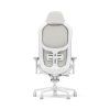 Refine Mesh Light Back e1de89