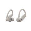 eComm 498 PowerbeatsPro2 BEECH RGB Angle03 v035