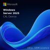 DELL Windows Server 2025 CAL Device s