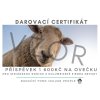 Ovečka