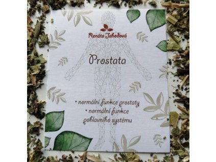 Prostata – bylinný čaj