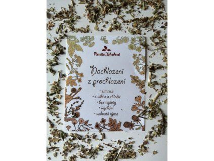 Erkältung durch Unterkühlung – Kräutertee