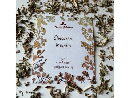 Immunsystem im Herbst – Kräutertee gegen Erkältungen