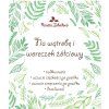Für Leber und Gallenblase – Kräutertee