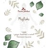 Reflux – bylinný čaj