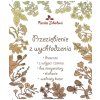 Erkältung durch Unterkühlung – Kräutertee