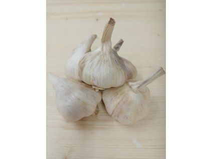 Germidour (1)