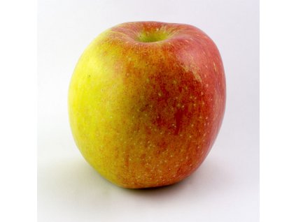 Apfel Braeburn