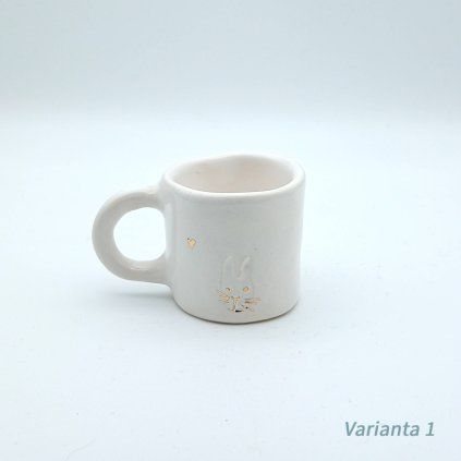 Varianta 1 (1)