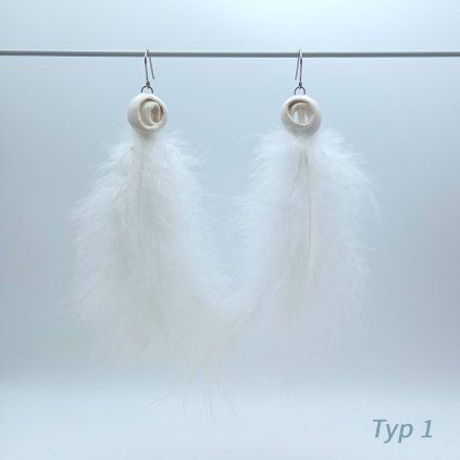 Typ 1 (1)