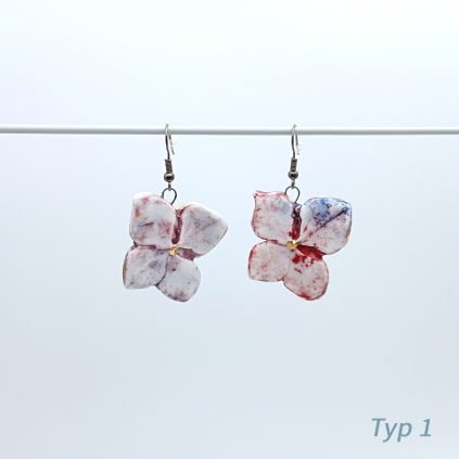 Typ 1 (1)