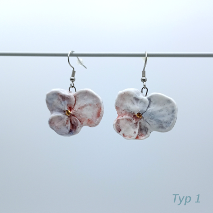 Typ 1 (1)