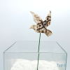 Typ 6 (1)