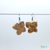 Typ 1 (2)