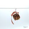 Typ 2 (1)