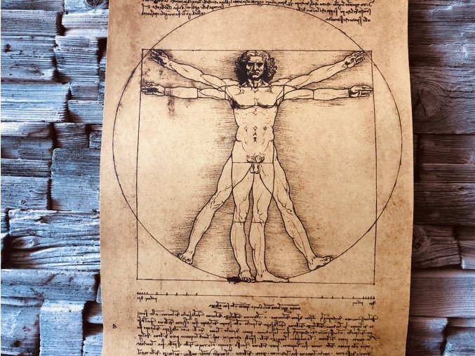 Vitruviánský muž | Leonardo da Vinci  - 51,5  x 36 cm