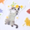 4004103 AutumnCats 3